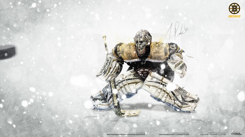 NHL Goalie Series