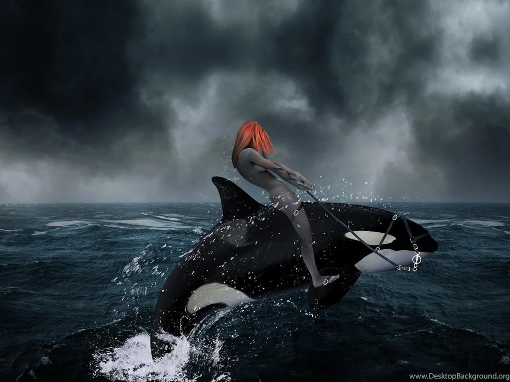 Killer Whale Normal 4:3 1400x1050
