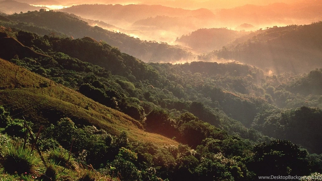 Mountains Puerto Rico Rainforest Wallpapers