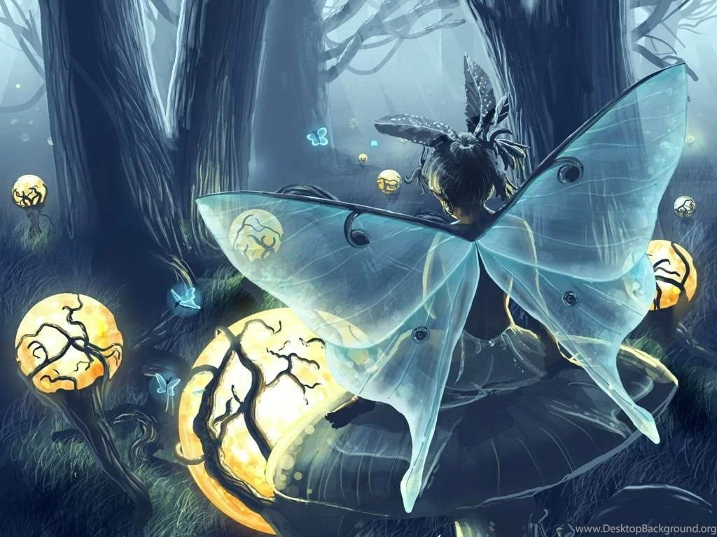 Christmas Fairy Wallpapers 704682