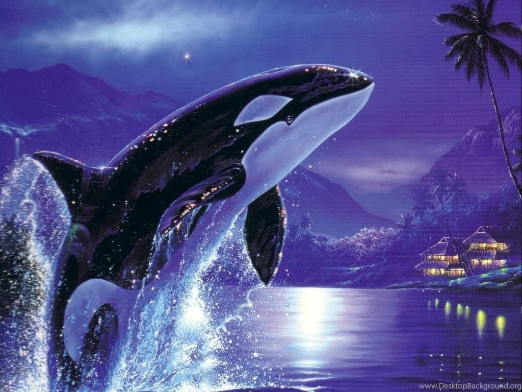 Orca Killer Whale HD Wallpapers Download