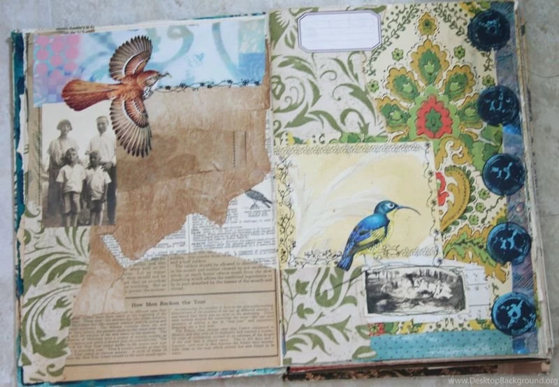 Tuscan Rose: The Flying Circus Visual Journal