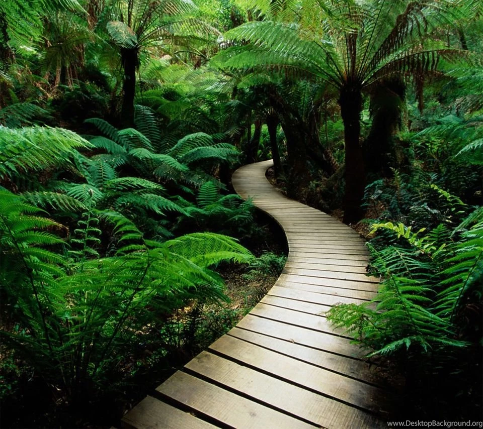 SpiderMan Cell Phone Wallpapers 360x640 Hd Wallpapers Downloads For ...