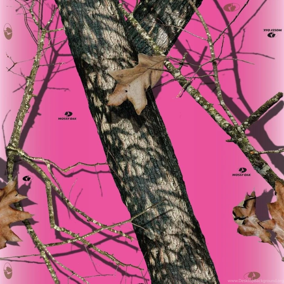 Pink Camo Wallpapers Wallpapers High Definition