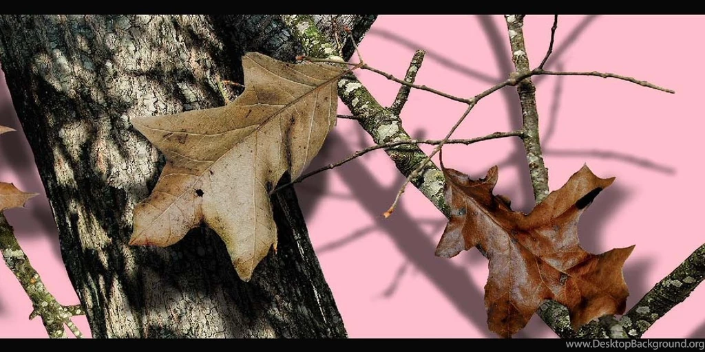 878880 Pink Camo Mossy Oak Wallpapers Border