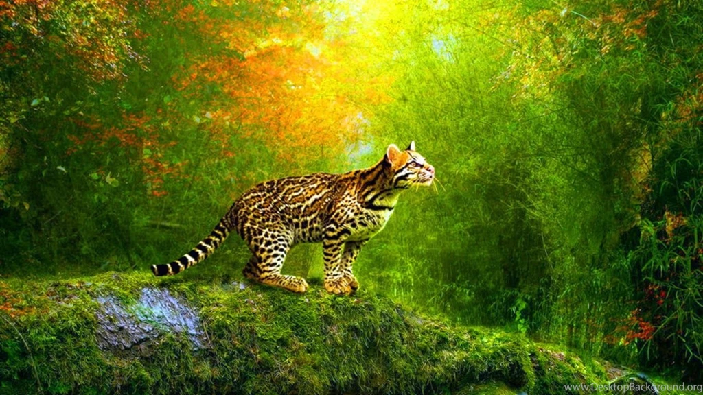 Free 3D Wallpapers