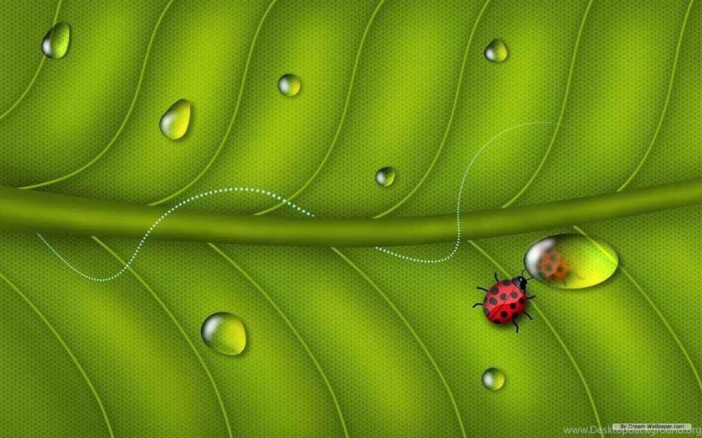 Free Wallpapers Free Art Wallpapers 3D Desktop Wallpapers 5 ...