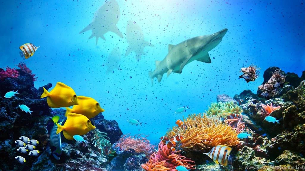 Top Downloaded   TopNature.xyz