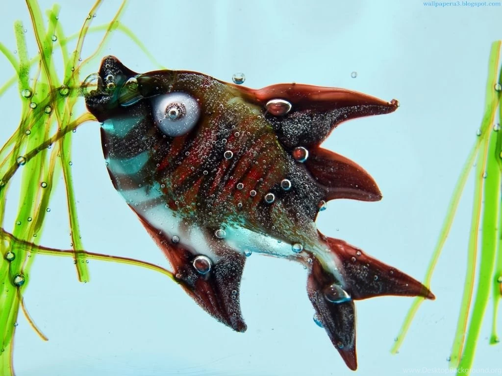 Beautiful Wallpapers Of Colour Hd (53)