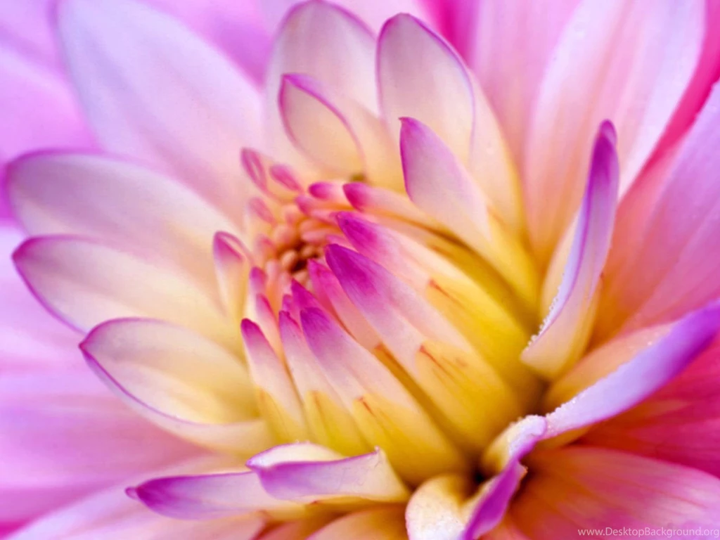 Index Of /wp content/uploads/2015/10/