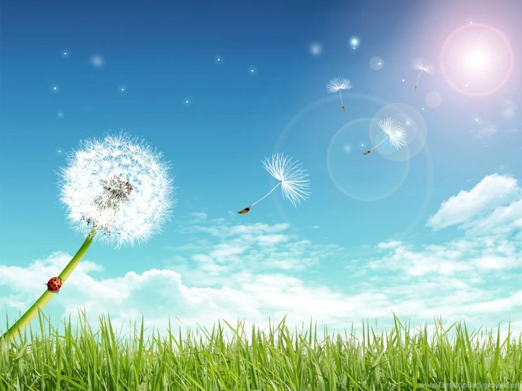 Summer Wallpaper 10.jpg