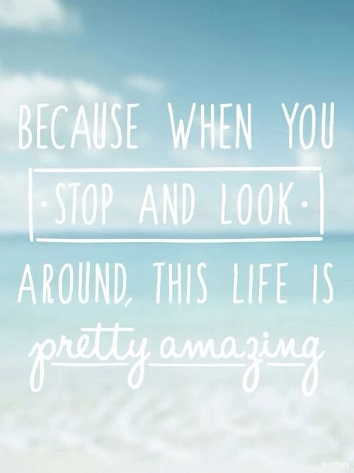 Life Image