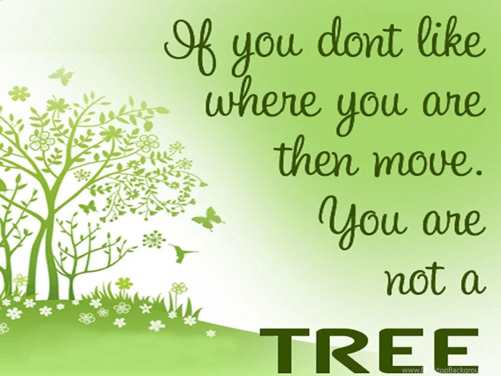 Save Tree Environment Hd Wallpapers Download