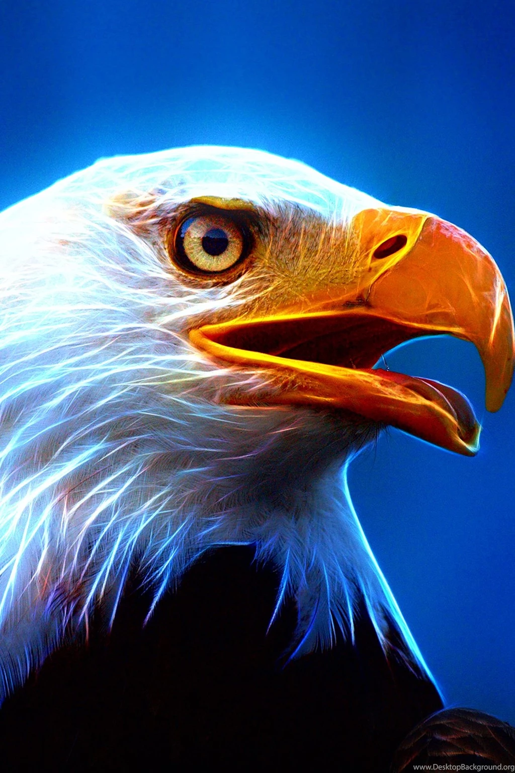 HD Eagle Wallpapers