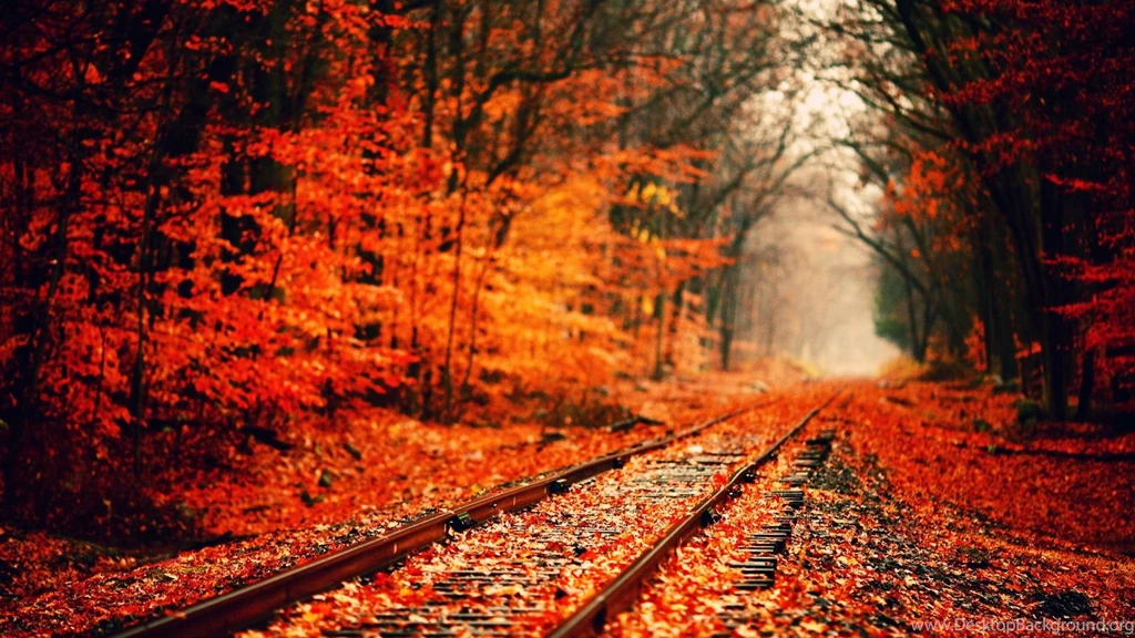 Fall HD Wallpapers