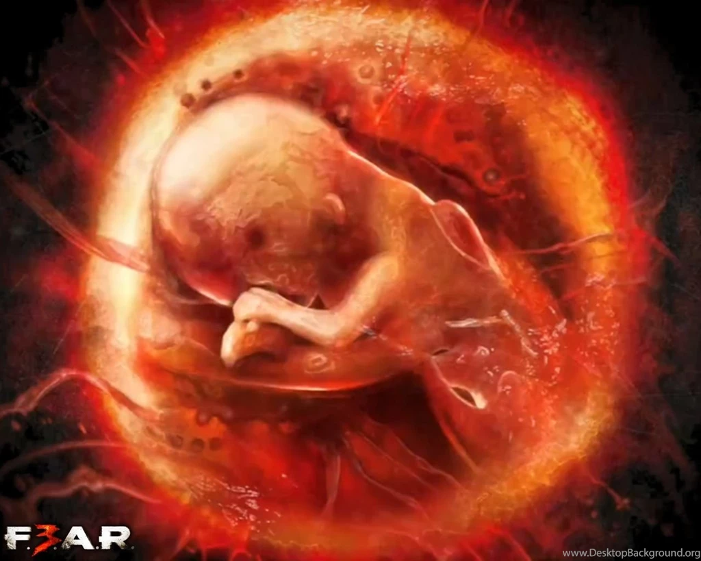 Wallpapers F.E.A.R. F.E.A.R. 3 Games Image