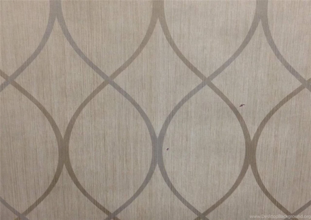 Wallpapers Designer Modern Trellis Tone On Tone Big Stripe Platinum ...