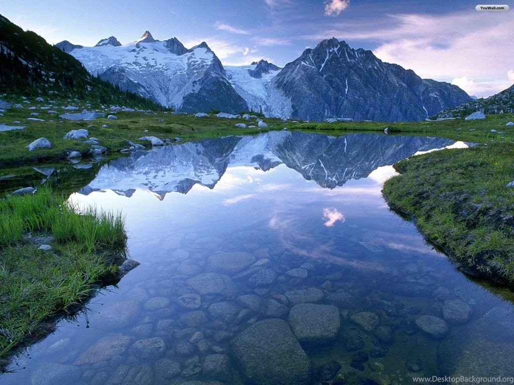 Youwall.com On Reddit.com