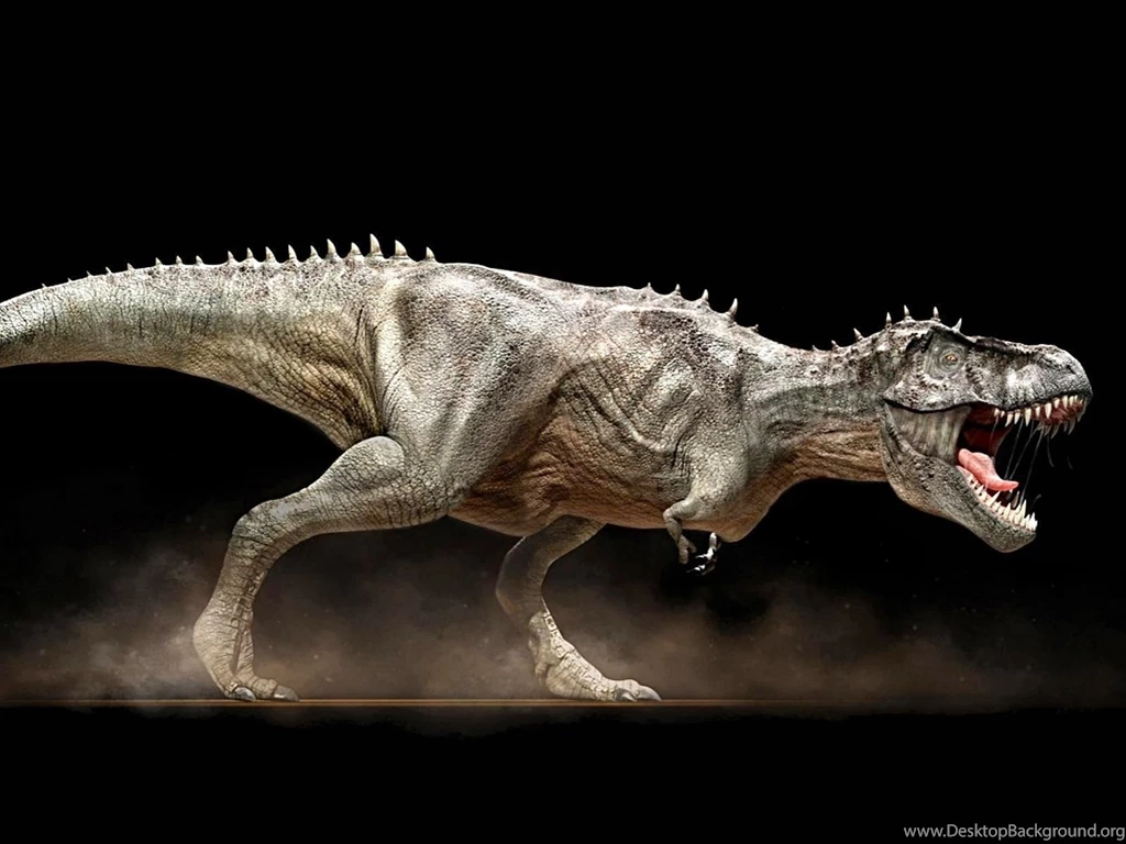 Dinosaurs HD Wallpapers