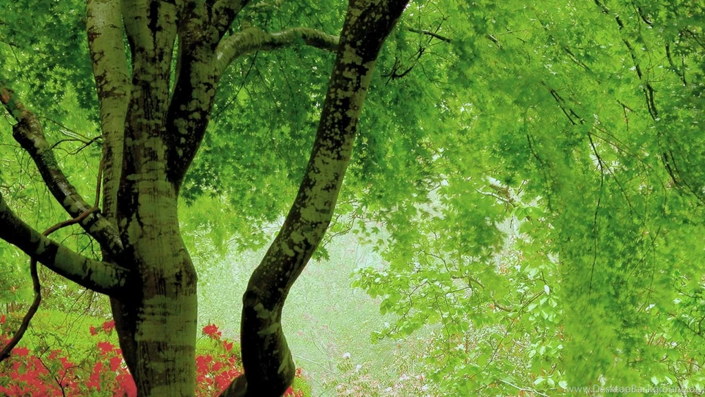 Download 1366x768 Green Tree Artistic Wallpapers
