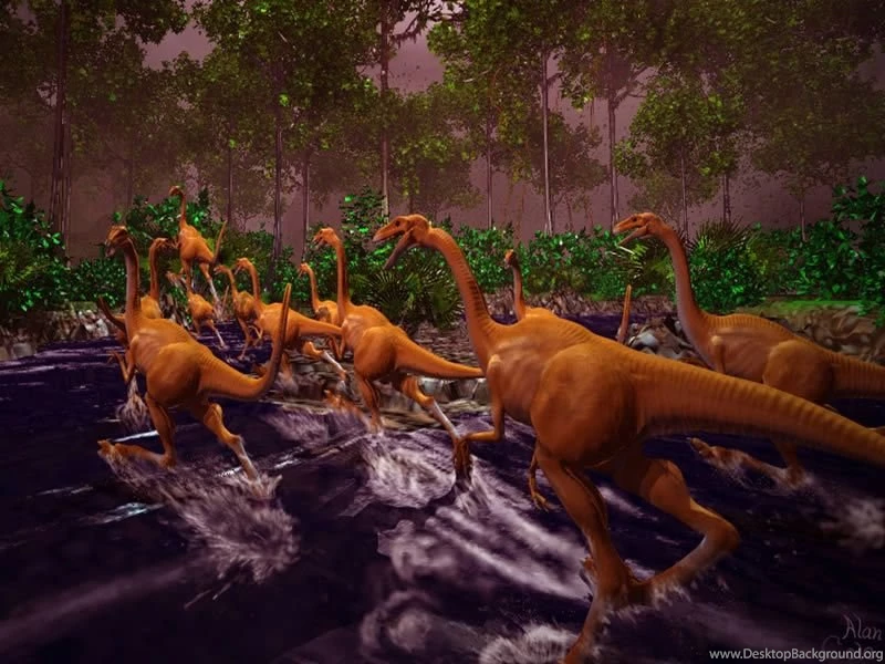Whimondifa: Dinosaur Wallpapers