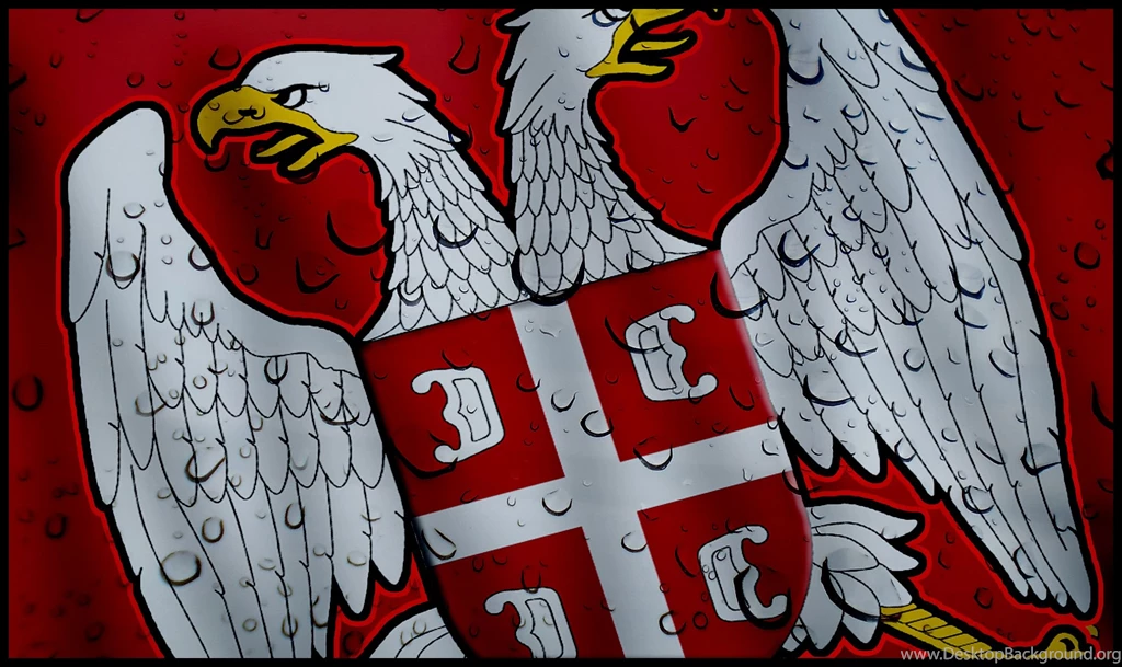 Serbian Eagle By Stoykeez On DeviantArt