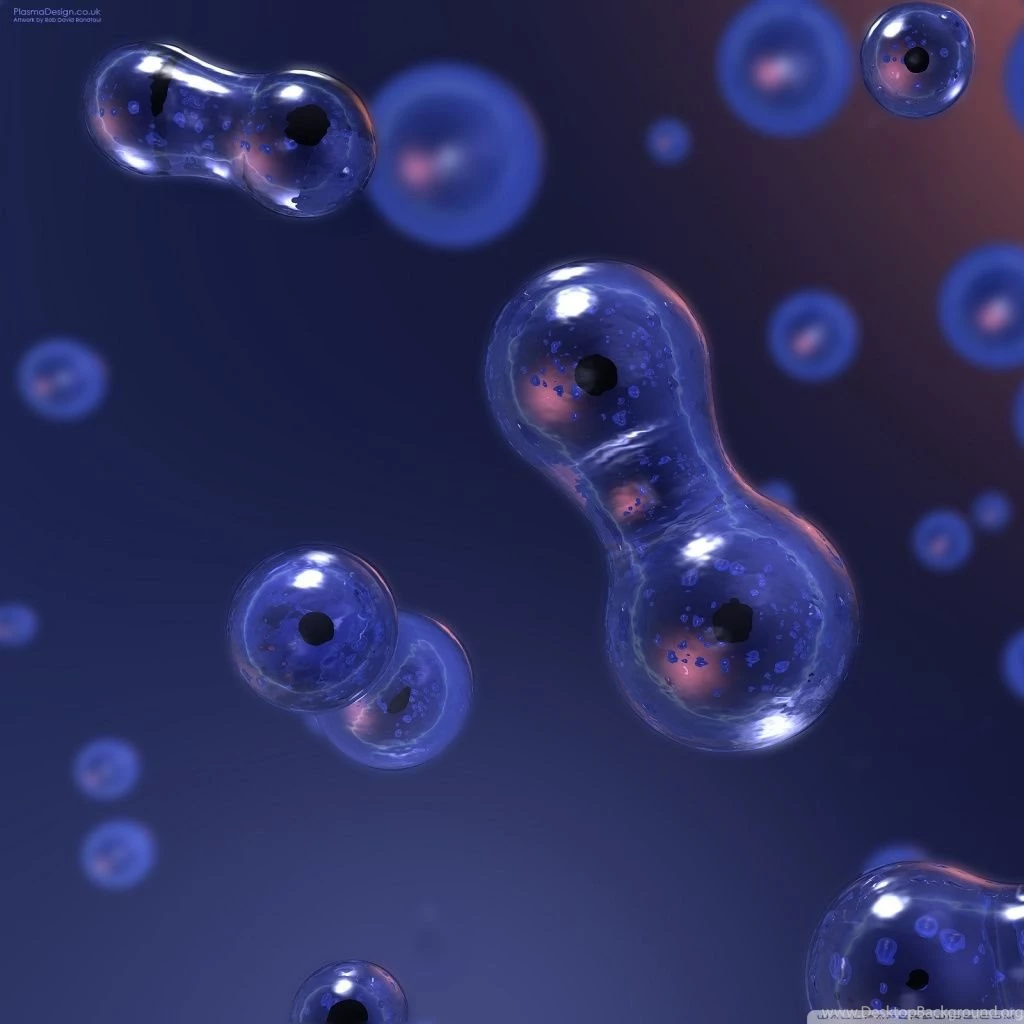Cell Division HD Desktop Wallpapers : High Definition : Fullscreen ...