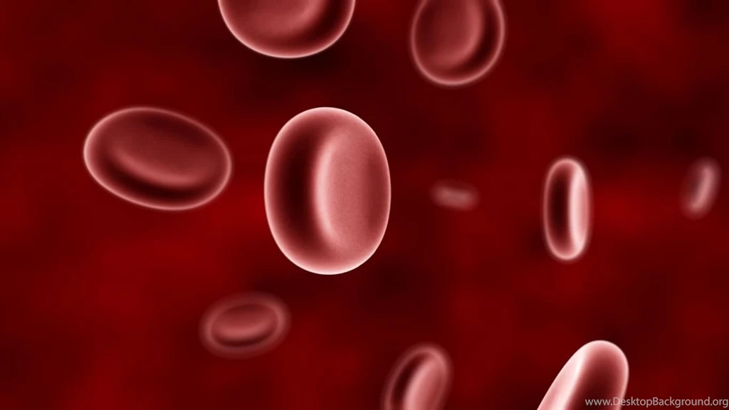 Cell Blood Cells Biconcave Plasma Vessel HD Wallpapers Wallpapers ...
