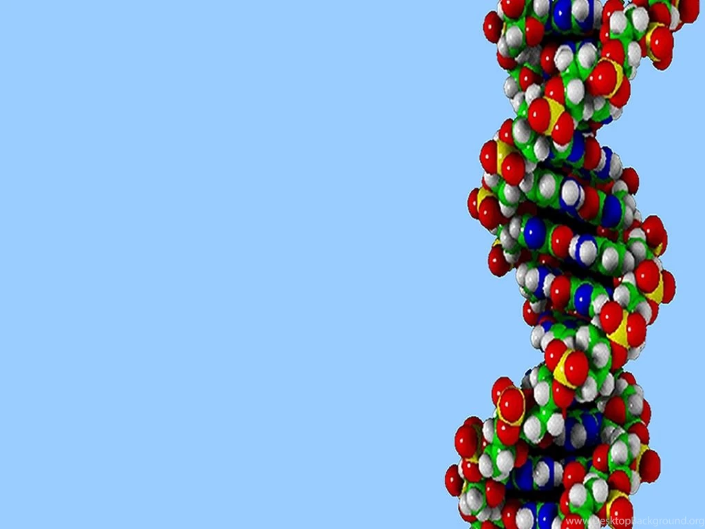 Pic > Cell Biology Wallpapers