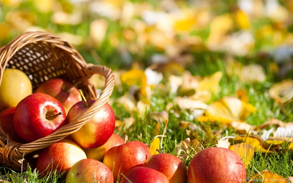Red Apples Wallpapers And Images Wallpapers, Pictures, Photos