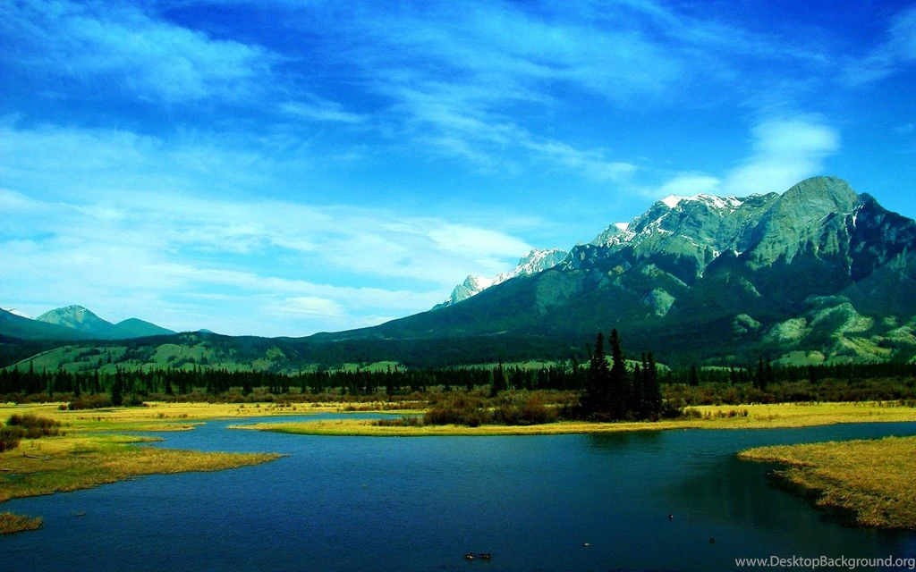 Free Nature Wallpapers Download For Mobile   HD Wallpapers Lovely