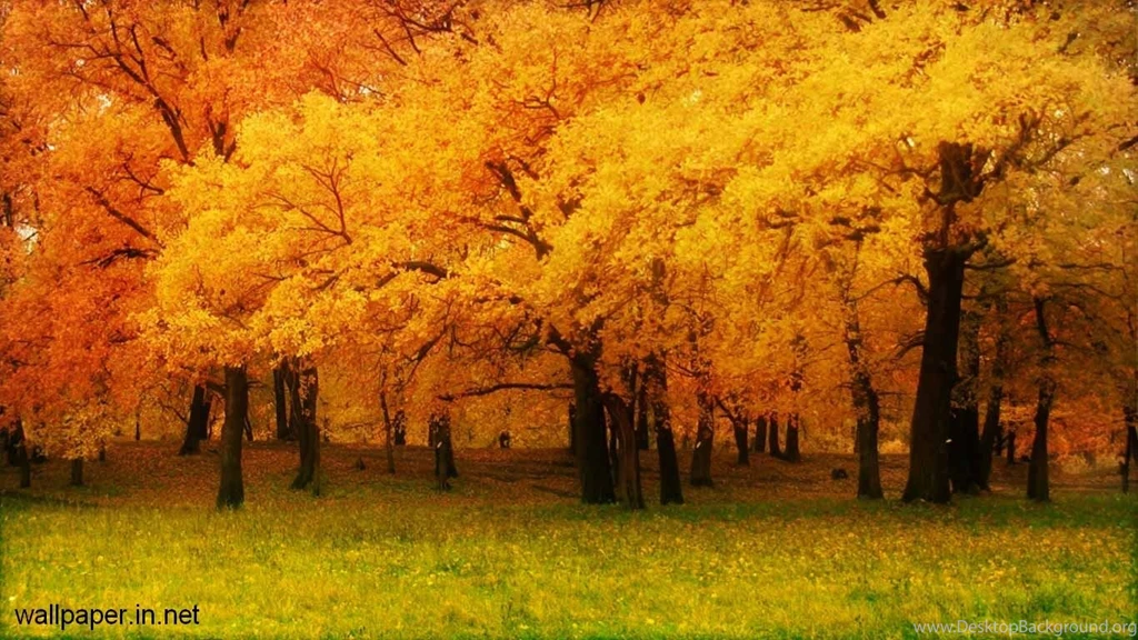 Nature Wallpapers Archives Page 2 Of 11 Free Desktop ...