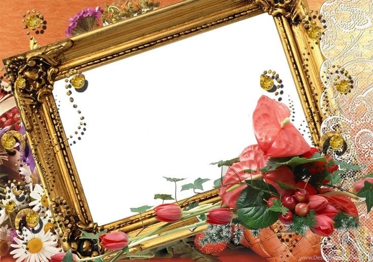 Free Wedding Backgrounds /frames