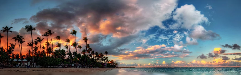 Palms Tropical Beach Dual Screen Wallpapers