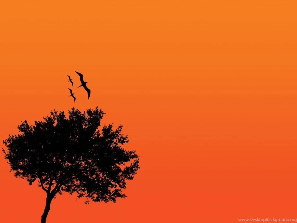 Black Tree Wallpapers Widescreen HD Wallpapers