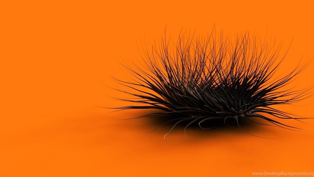 Download Wallpapers 3840x2160 Orange, Black, Feathers, Form 4K ...