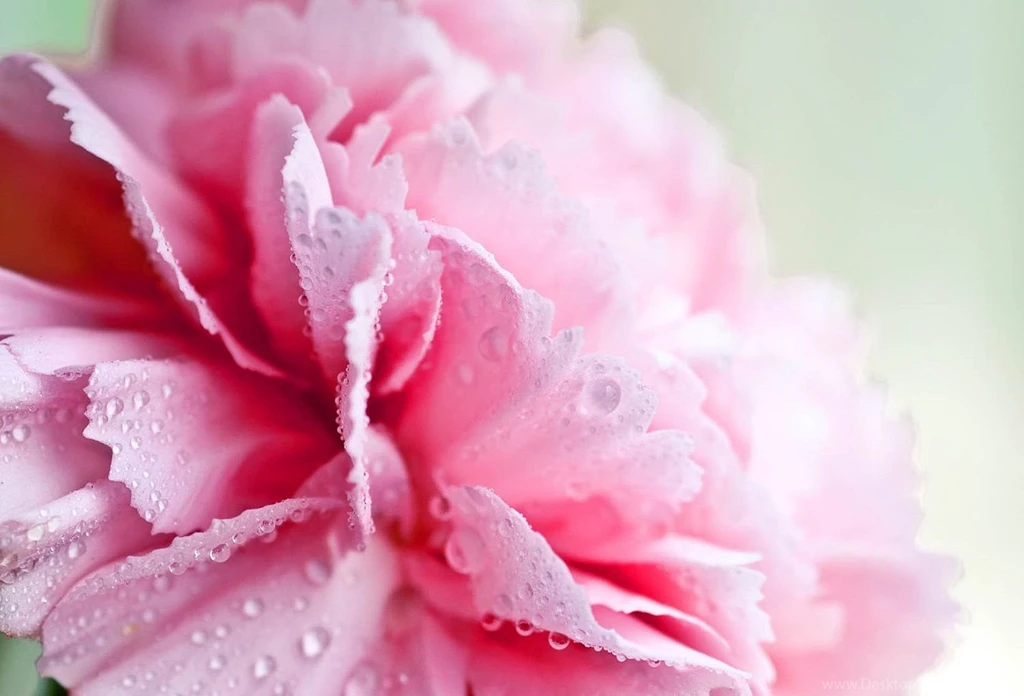 Girly Vintage Desktop Backgrounds