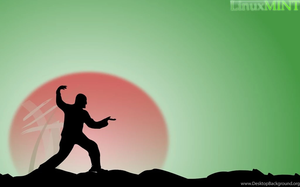 Kung Fu Backgrounds Wallpapers 129290