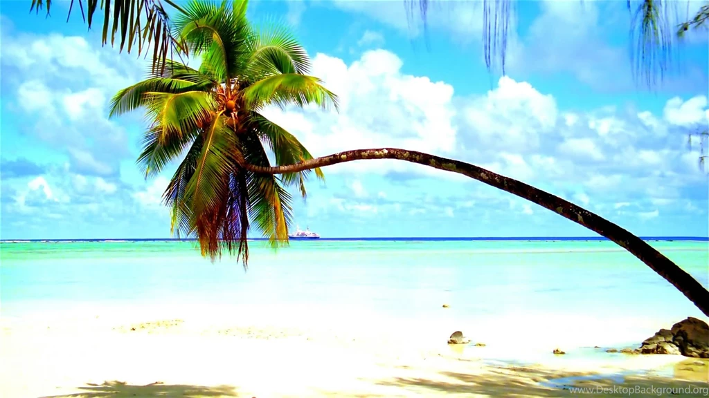 Full Hd Screensaver Wallpapers 63651