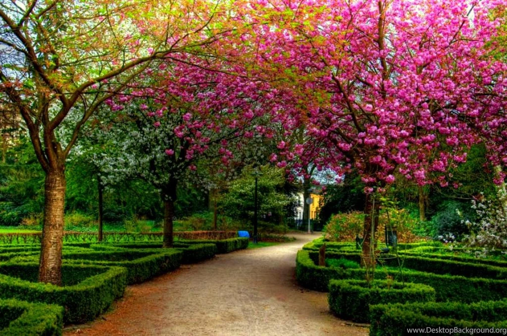 Serene Wallpapers HD