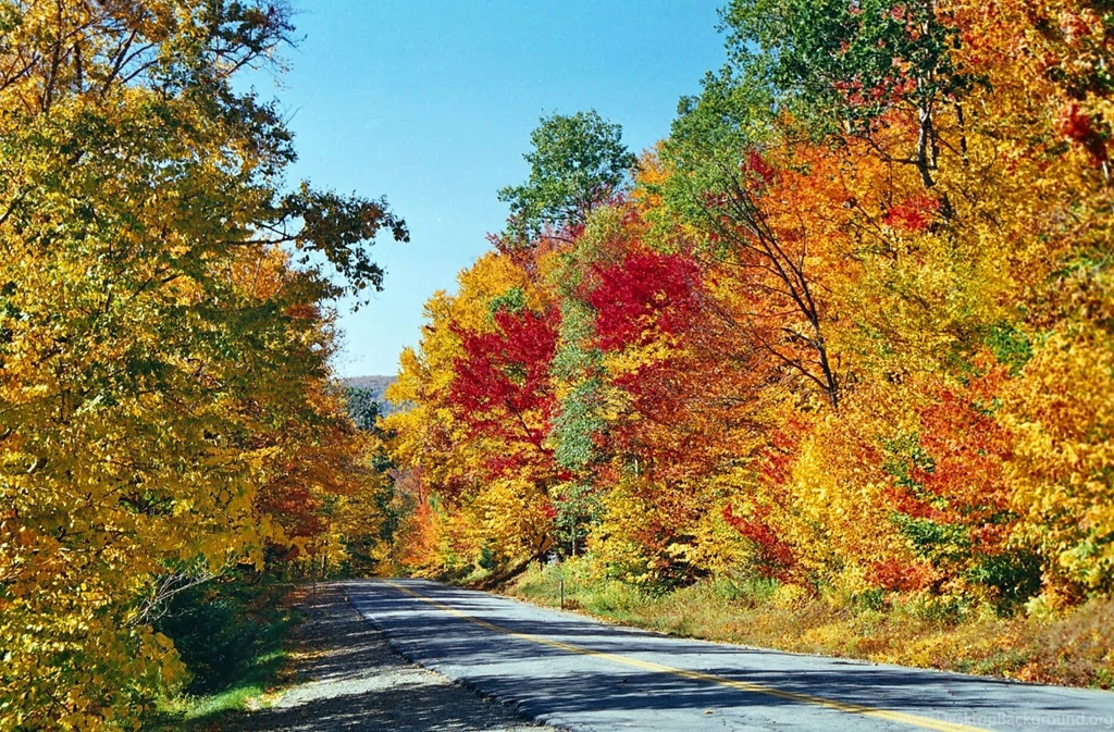 Fall Wallpapers And Screensavers Wallpapers Online