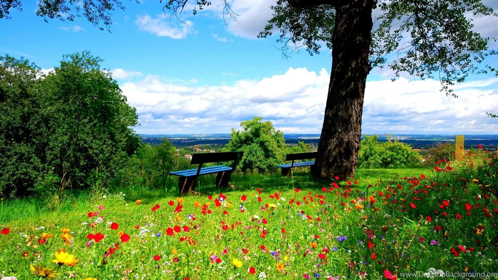 Spring Garden Desktop Wallpapers ~ Toptenpack.com