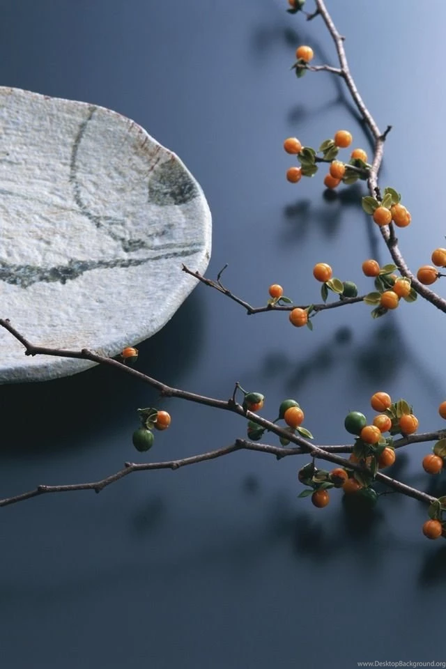 Zen Iphone Background Images