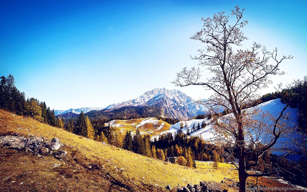 Nature Screensaver HD Backgrounds Wallpapers Collection 5 ...