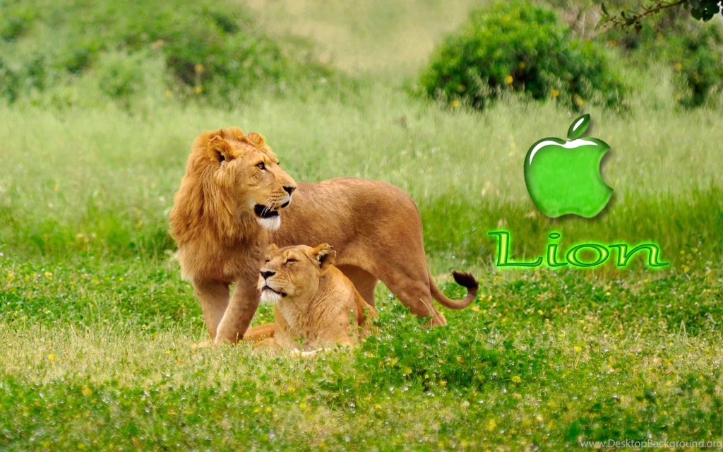 Now Feel A New Sense Of Technology Using Wallpapers For Your ...