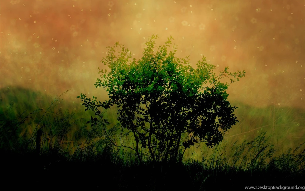 Top Desktop Backgrounds Wallpapers