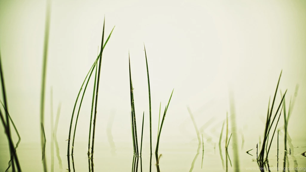 InterfaceLIFT: 2560x1440 Wallpapers Sorted By Comments