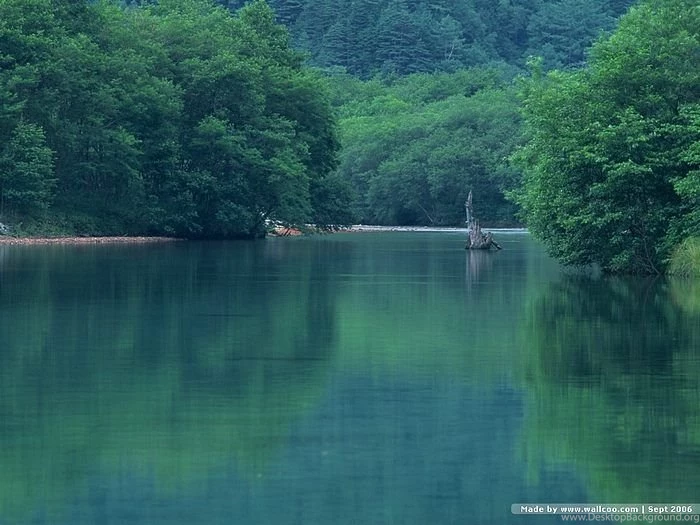 Serene Summer Lake Wallpapers Green Lakeside Pictures13 ...