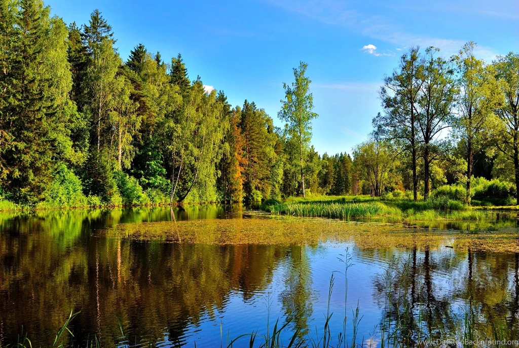 Serene Blue Lake >> HD Wallpaper, Get It Now!
