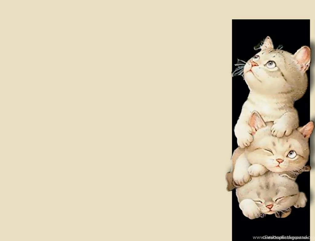 Cat Backgrounds Pictures Wallpapers Cave